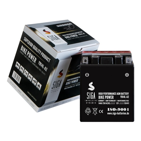 AGM Motorcycle battery 14Ah (R+)