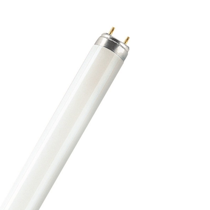 OSRAM Fluorescenčna sijalka (cev)