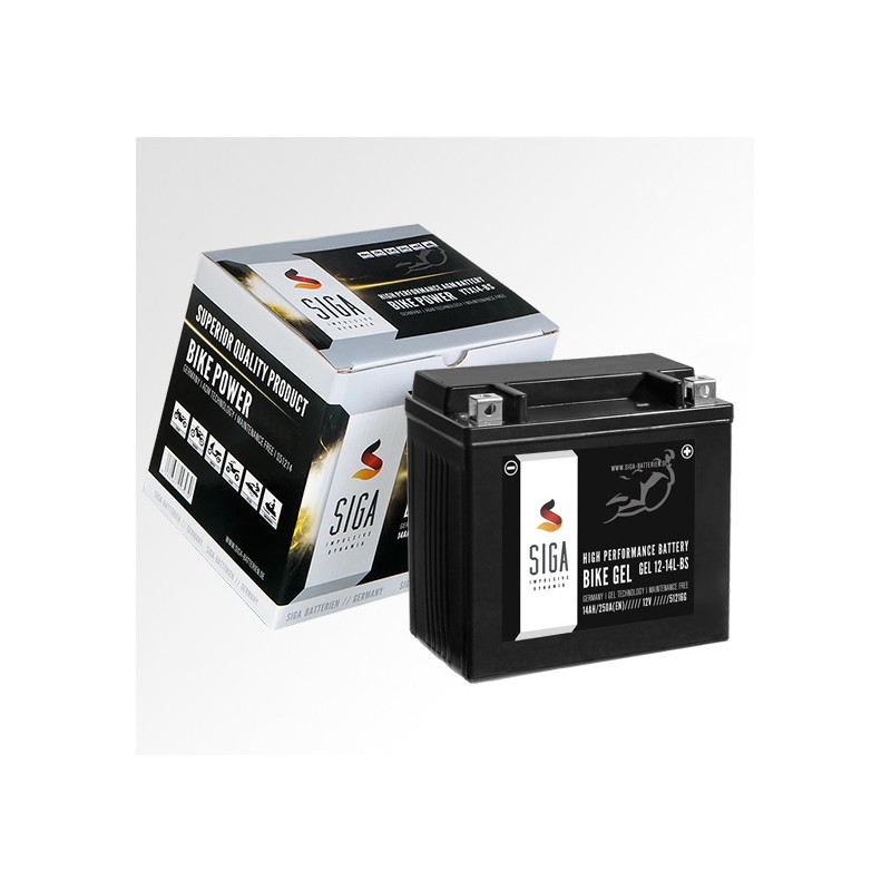 GEL Motorcycle battery 12Ah (L+)